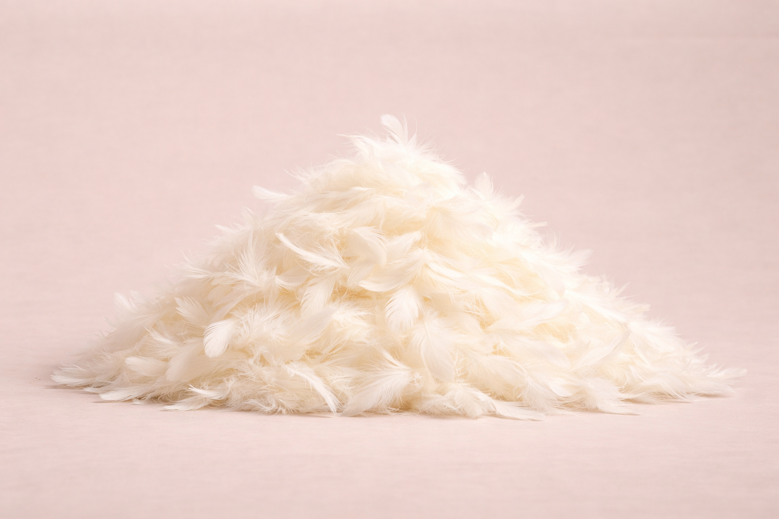 Feather Back Cushions